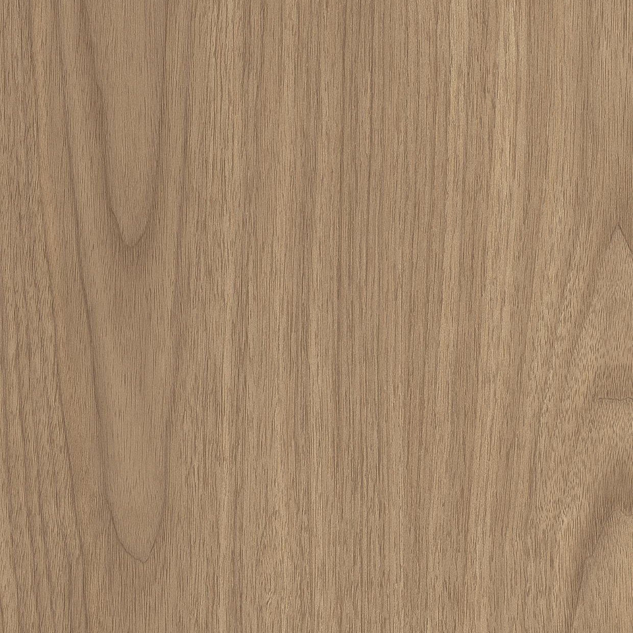Walnut Oak - AF08